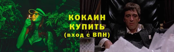 гашик Алексеевка