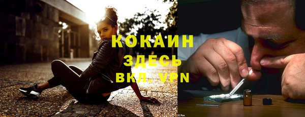 твердый Алзамай
