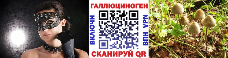 Галлюциногенные грибы MAGIC MUSHROOMS  дарк нет наркотические препараты  Опочка 