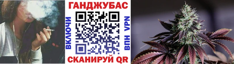 mega ТОР дарнет шоп это какой сайт Бошки марихуана план Опочка